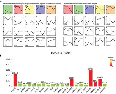 Frontiers Identification By Bioinformatics Analysis Of Potential Key